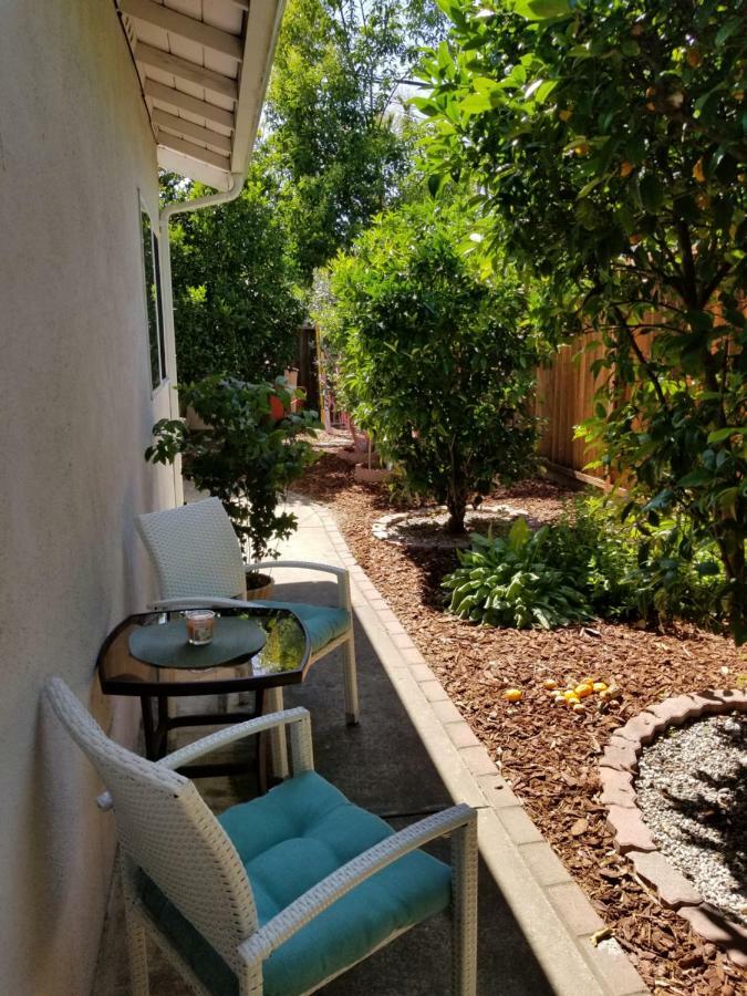 Luxury 2Br/1Ba Oasis In San Jose Ca Villa Dış mekan fotoğraf
